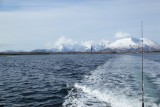 IMG_7623