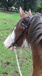 IMG_0535