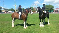 IMG_0645