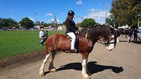 IMG_0649