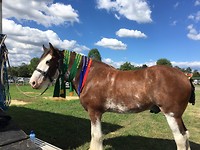 IMG_0630