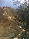 IMG_0702