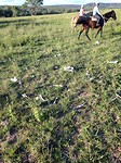 IMG_0037