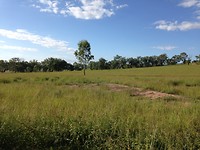 IMG_0041
