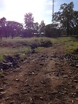 IMG_0042