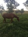 IMG_0745