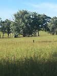 IMG_0757