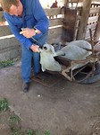 IMG_0046