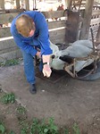 IMG_0048