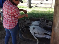 IMG_0066