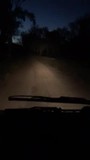 dagelijks ritje met de vrachtwagen. Achterin zitten de paarden en honden. Lekker hobbelen...