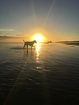 IMG_0997