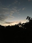 IMG_1187