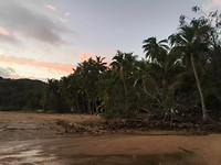 IMG_1228