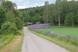 hoe Zweedser kan het zijn !