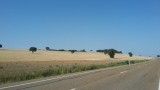 Armer landschap