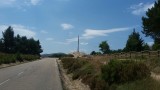 olijfbomen