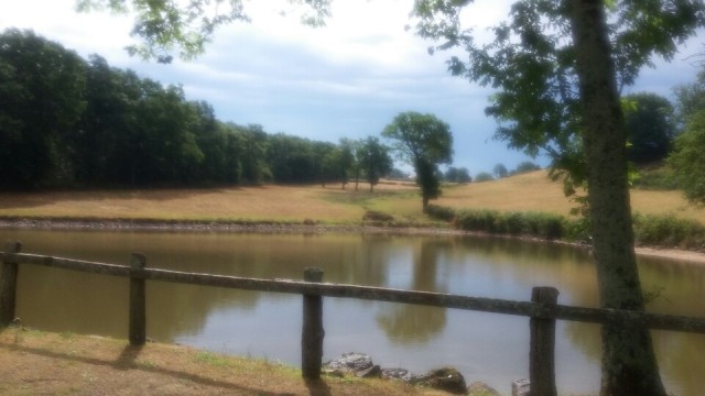 idyllisch landschap