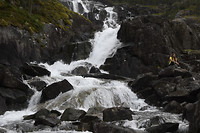 _DSC2695