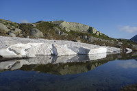 _DSC5572