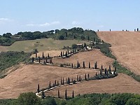 IMG-20190730-WA0012