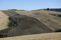 _DSC6219