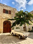 IMG_0271