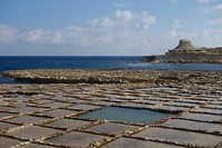 _DSC6473
