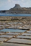 _DSC6475