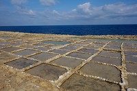 _DSC6476