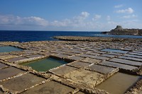 _DSC6477