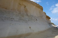 _DSC6478