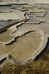 _DSC6483
