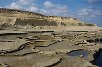_DSC6484