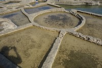 _DSC6486