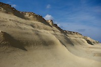 _DSC6492