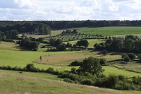 _DSC3108