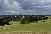 _DSC3115