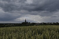 _DSC3119