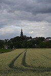 _DSC3121