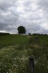_DSC3122