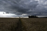 _DSC3123