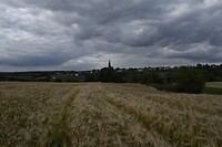 _DSC3124