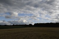 _DSC3125