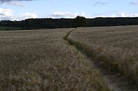_DSC3127