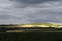 _DSC3129