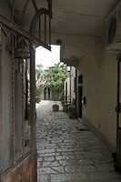 _1000608