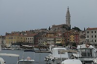 _1000659
