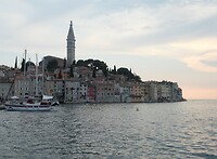 _1000919