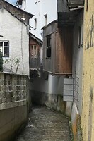 _1001086